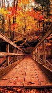 Autumn Wooden Bridge Oppo A5s oppo a5s wallpaper