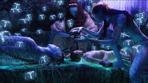 Avatar Body Transfer avatar wallpaper