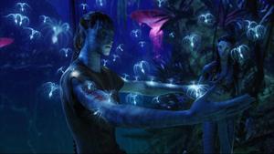 Avatar Jake Sacred Tree avatar wallpaper