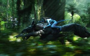 Avatar Jake Sully Riding Direhorse avatar wallpaper