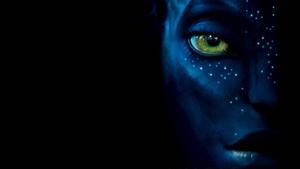 Avatar Na'vi Promotional Poster avatar wallpaper