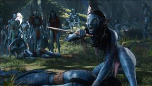 Avatar Neytiri Defends Jake avatar wallpaper