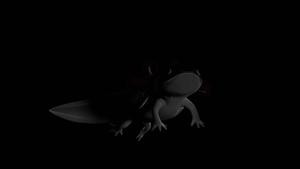 Axolotl In Black Aesthetic axolotl wallpaper