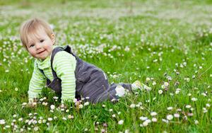 Baby Boy Crawling On Flower Field baby boy wallpaper