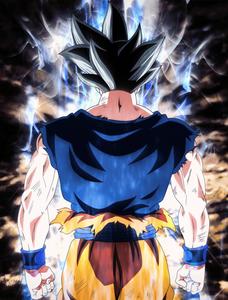Back View Goku Ultra Instinct goku ultra instinct wallpaper