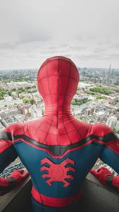 Back View Spider Man Iphone spider man iphone wallpaper