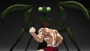 Baki Hanma Against Green Mantis baki hanma wallpaper