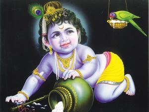 Bal Krishna With A Parakeet bal krishna wallpaper