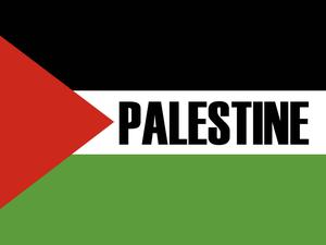 Basic Palestine Flag With Label palestine wallpaper