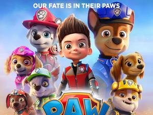 Be ready and ruff-ruff rescue with Paw Patrol! paw patrol wallpaper
