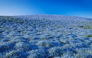 Be the blue in the sky and light the world blue aesthetic wallpaper