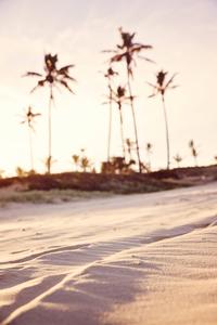 Beach Sand In Summer iPhone summer iphone wallpaper