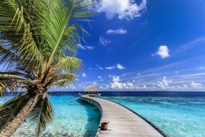 Beautiful Beach Boardwalk Picture beautiful wallpaper