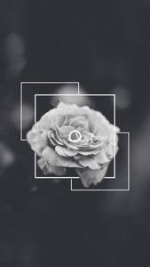 Beautiful, dark and unrestrained; an aesthetic of contrast black aesthetic wallpaper