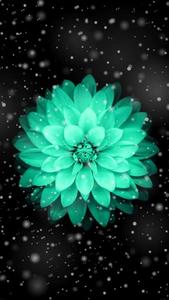 Beautiful intricately designed smartphone for the modern user. pretty cute phone wallpaper
