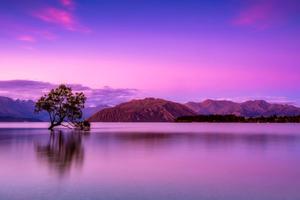 Beautiful Purple Sunset Picture beautiful wallpaper