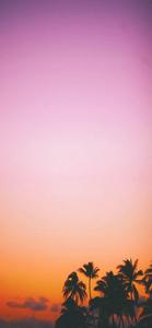 Beautiful Sunset Paradise Home Screen home screen wallpaper