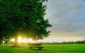 Bench In Park During Spring spring wallpaper