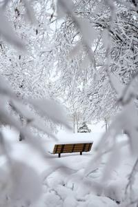 Bench In Snow Winter iPhone winter iphone wallpaper