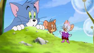 Bewildered Tom And Jerry tom and jerry wallpaper