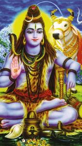 Bhole Baba And Cow bhole baba wallpaper