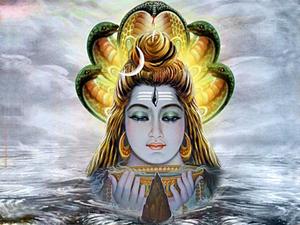 Bhole Baba Cobra Head bhole baba wallpaper