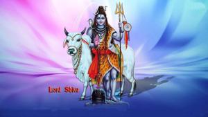 Bhole Baba Pink And Blue bhole baba wallpaper
