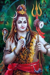 Bhole Baba Snail Shell bhole baba wallpaper