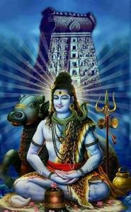 Bholenath HD Shiva Lotus Pose Nandi Bull Wallpaper