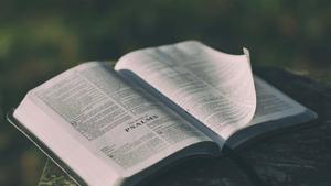 Bible Background bible wallpaper