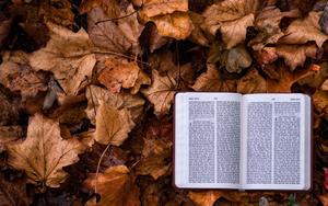 Bible Background bible wallpaper