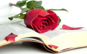 Bible Background bible wallpaper
