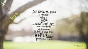 Bible Verse Jeremiah 29:11 bible wallpaper