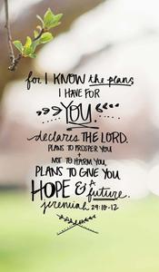 Bible Verse Phone Branch bible verse phone wallpaper