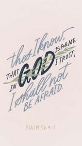 Bible Verse Phone Not Afraid bible verse phone wallpaper