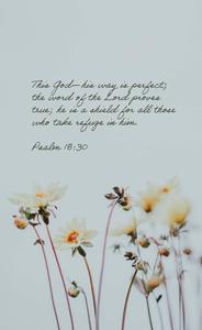 Bible Verse Phone Psalm 16 bible verse phone wallpaper