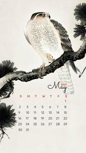 Bird Painting May Calendar 2021 may wallpaper