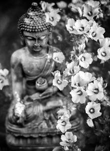 Black And White Buddha HD buddha wallpaper