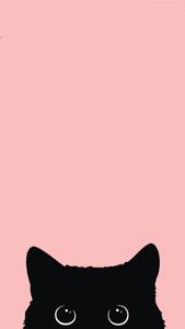 Black Cat iPhone 12 iphone 12 wallpaper