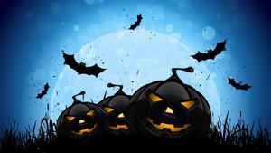 Black Halloween Pumpkins Bats halloween wallpaper