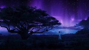Black Panther Aurora Lights black panther wallpaper