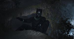 Black Panther Dark Forest black panther wallpaper
