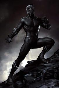 Black Panther pictures black panther wallpaper