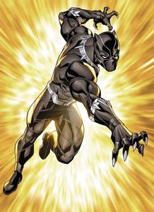 Black Panther pictures black panther wallpaper