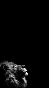 Black Screen Background black screen wallpaper