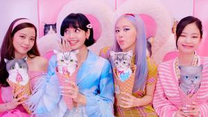 Blackpink And Cat Ice Cream blackpink wallpaper