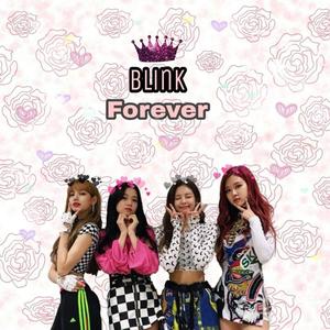 Blackpink Blink Forever blackpink wallpaper