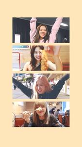 Blackpink Cute Members Genuine Smile blackpink cute wallpaper