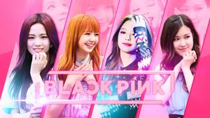Blackpink Korean Girl Group blackpink wallpaper