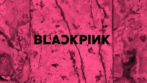 Blackpink Logo On Cool Pink Wall blackpink logo wallpaper